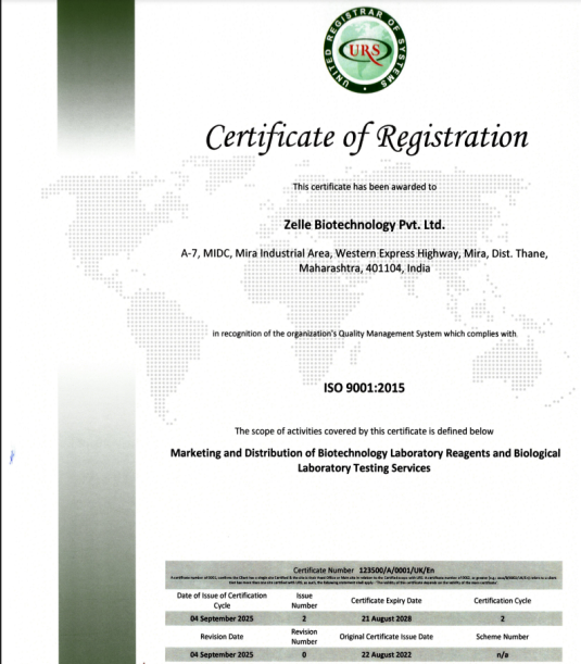 ISO Certification